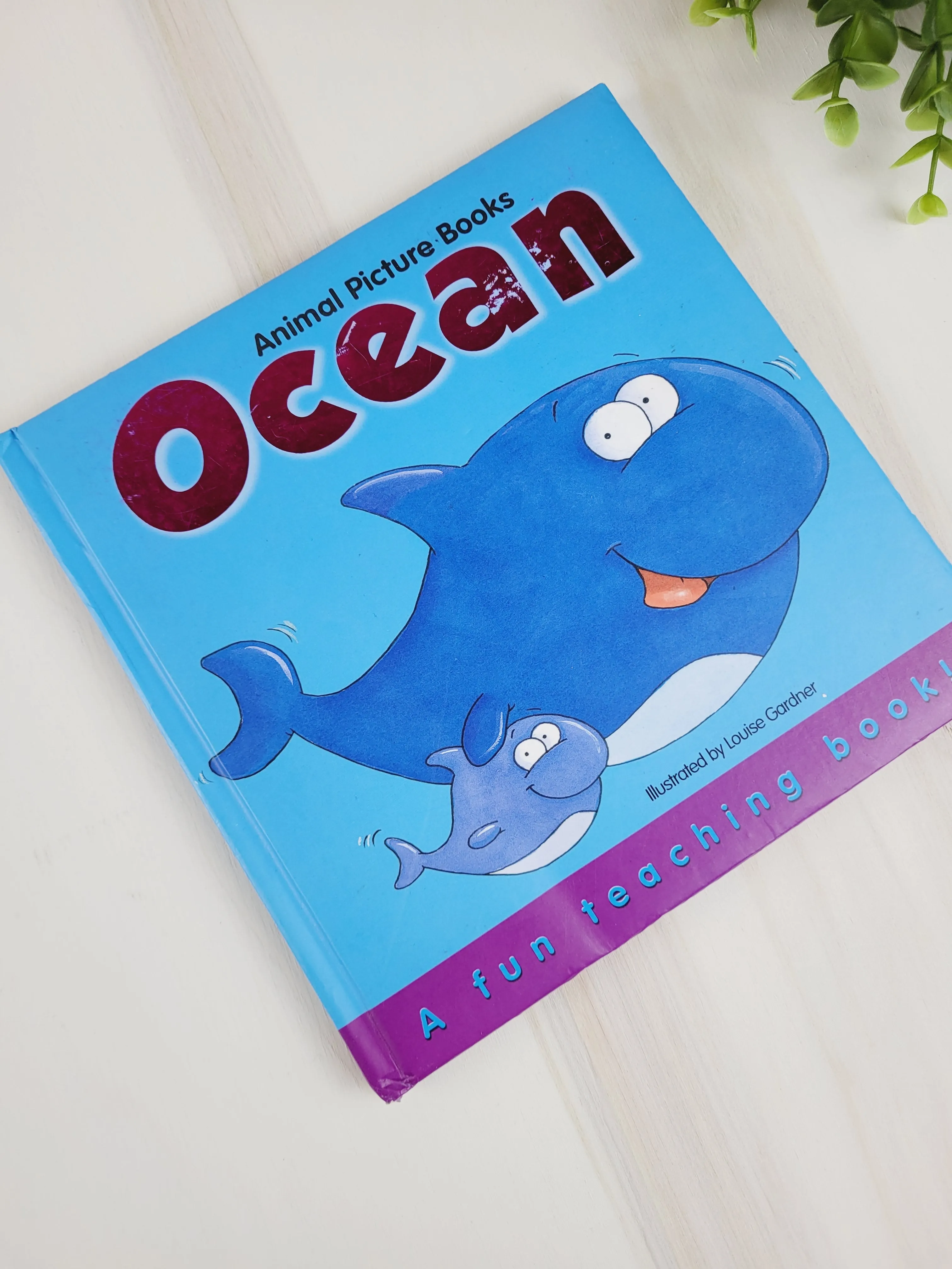 ANIMAL PICTURE BOOK OCEAN VGUC