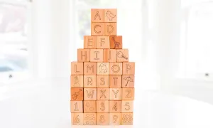 Deluxe ABC & 123 Blocks