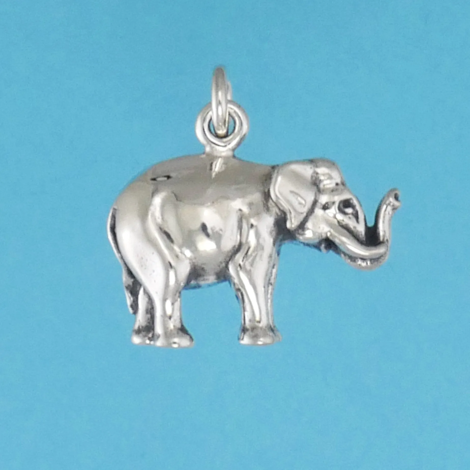 Elephant Charm