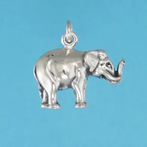 Elephant Charm