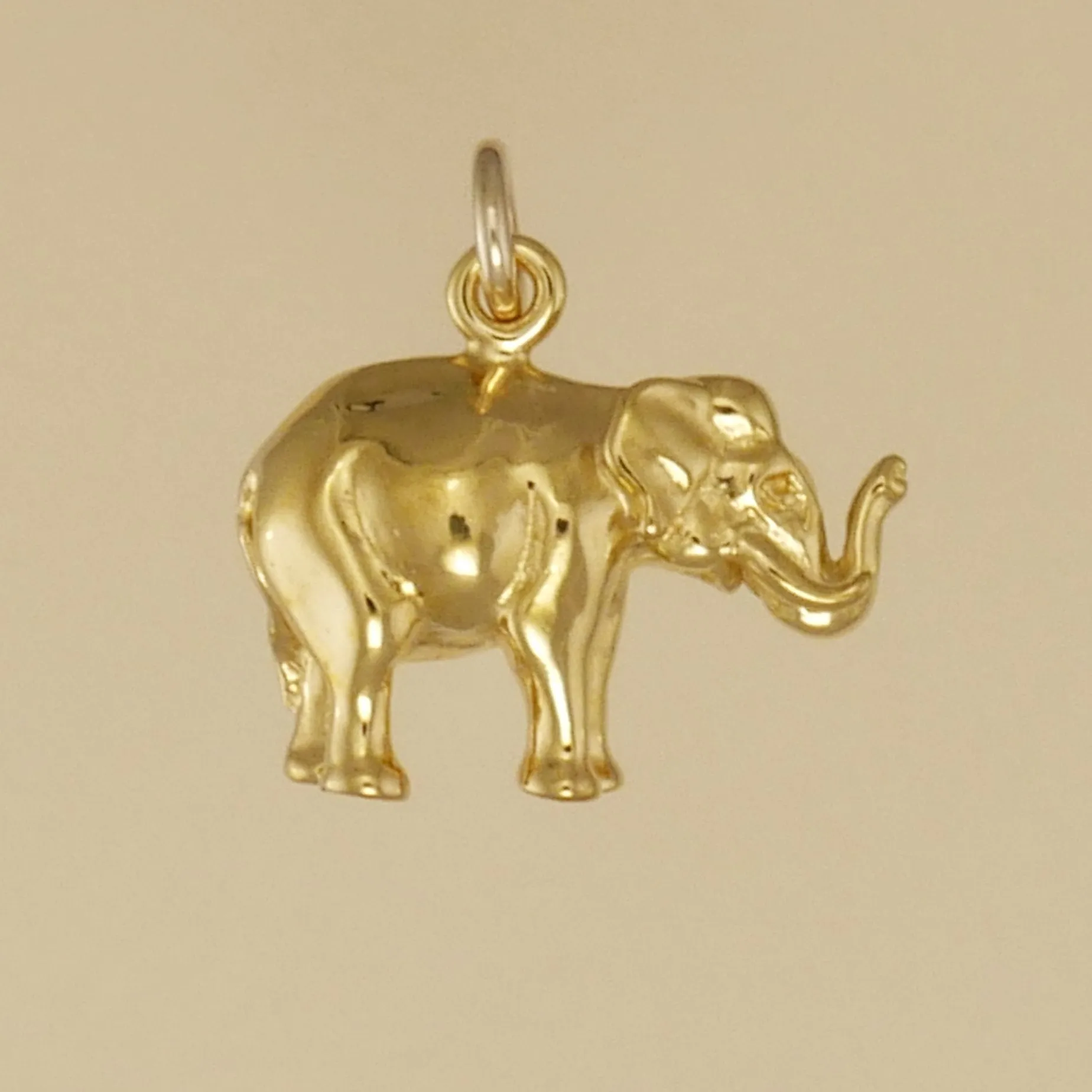 Elephant Charm