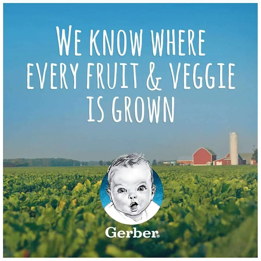 Gerber 1st Foods