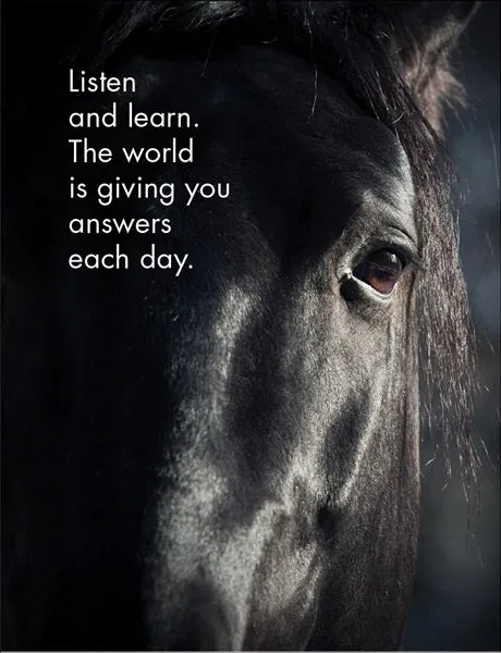 Horse Sense Affirmations