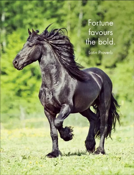 Horse Sense Affirmations