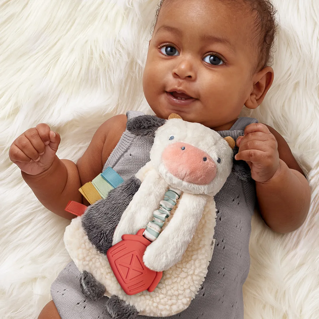 Itzy Lovey™ Plush and Teether Toy