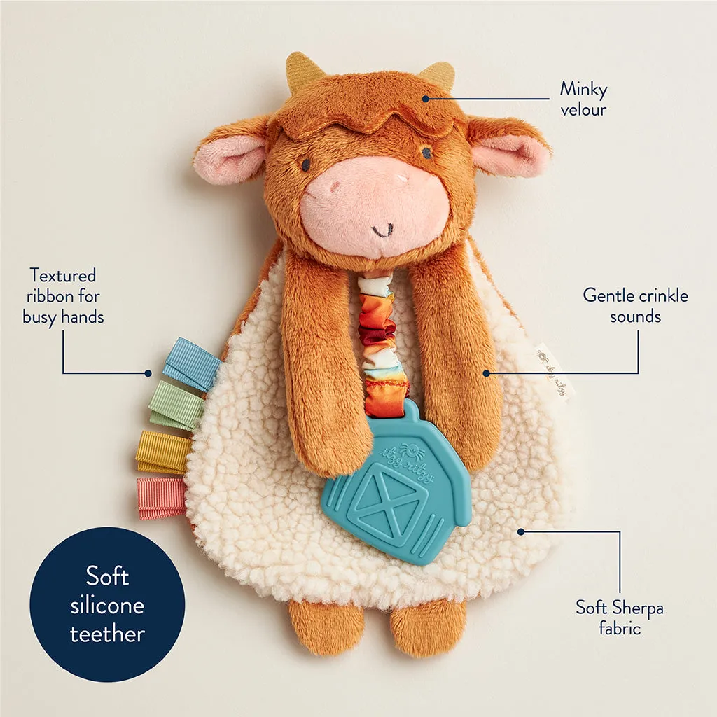 Itzy Lovey™ Plush and Teether Toy