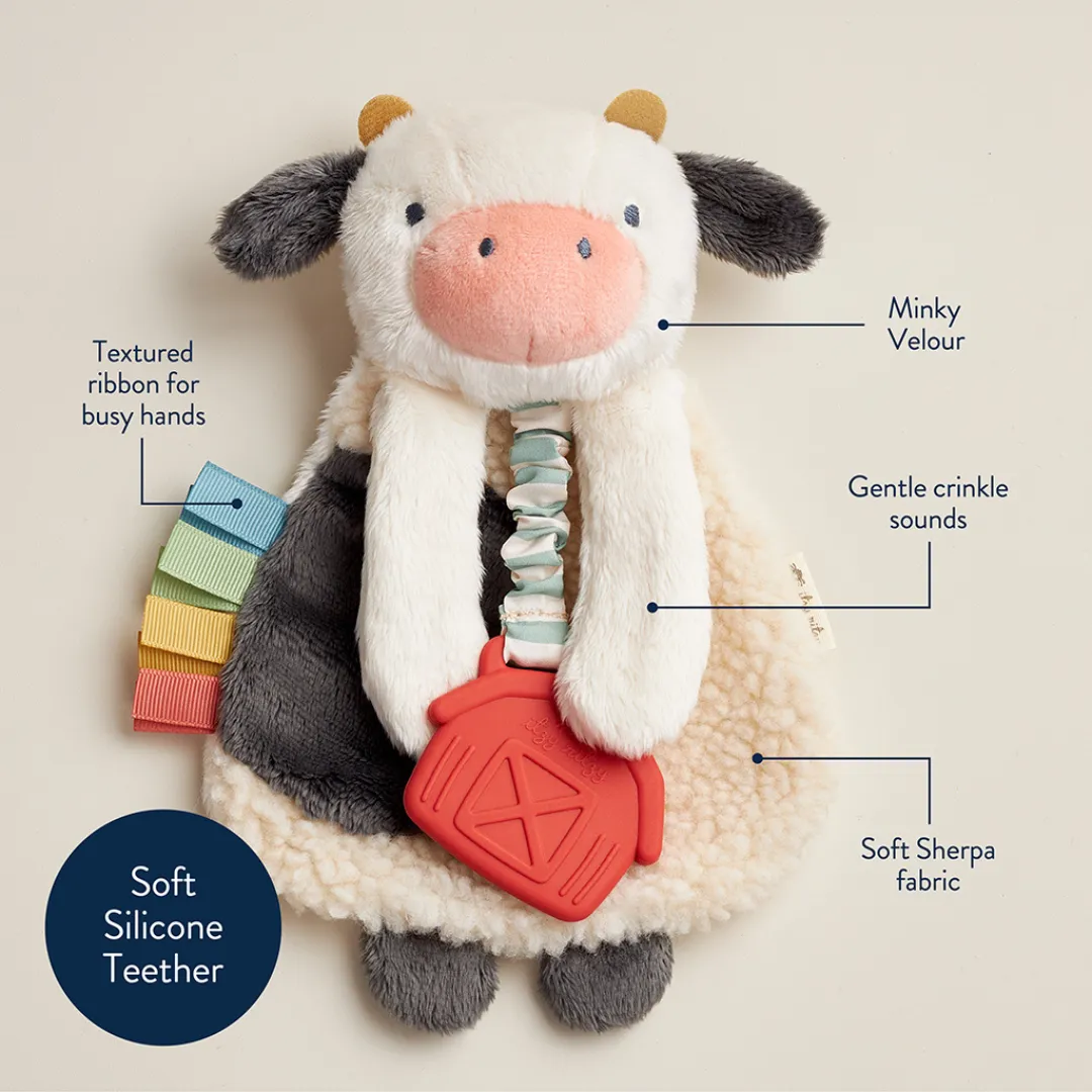 Itzy Lovey™ Plush and Teether Toy