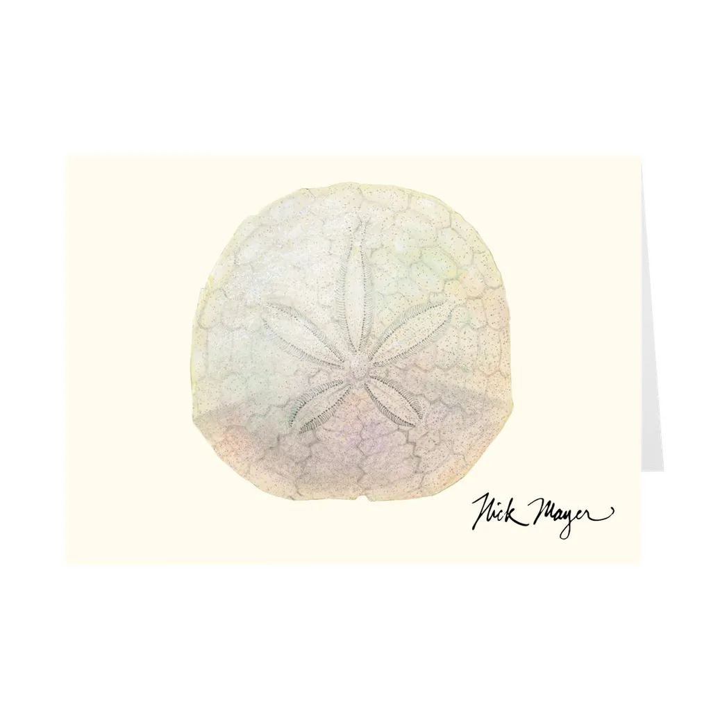 Ivory Sand Dollar II Notecards