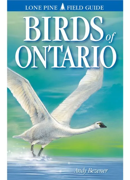 Lone Pine Birds of Ontario