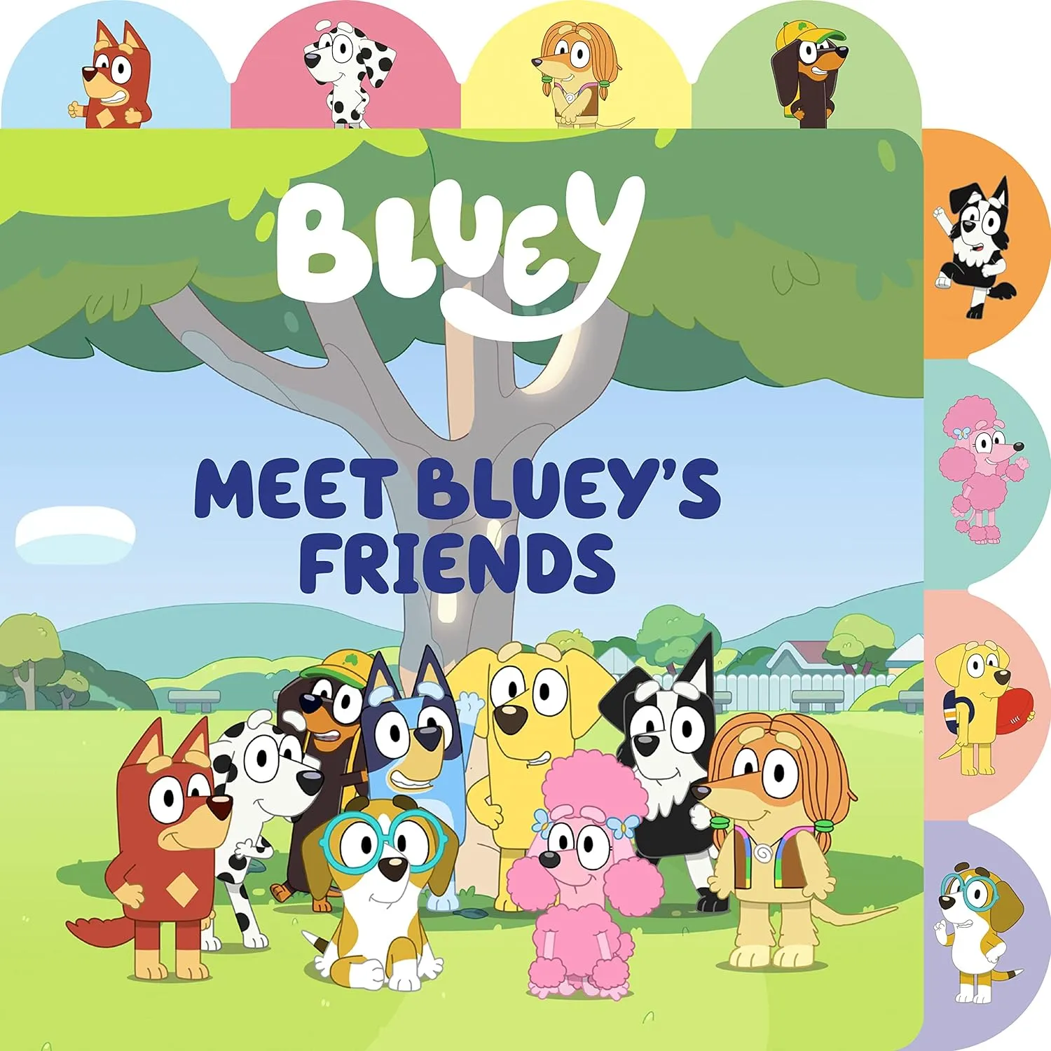 MEET BLUEY FRIENDS