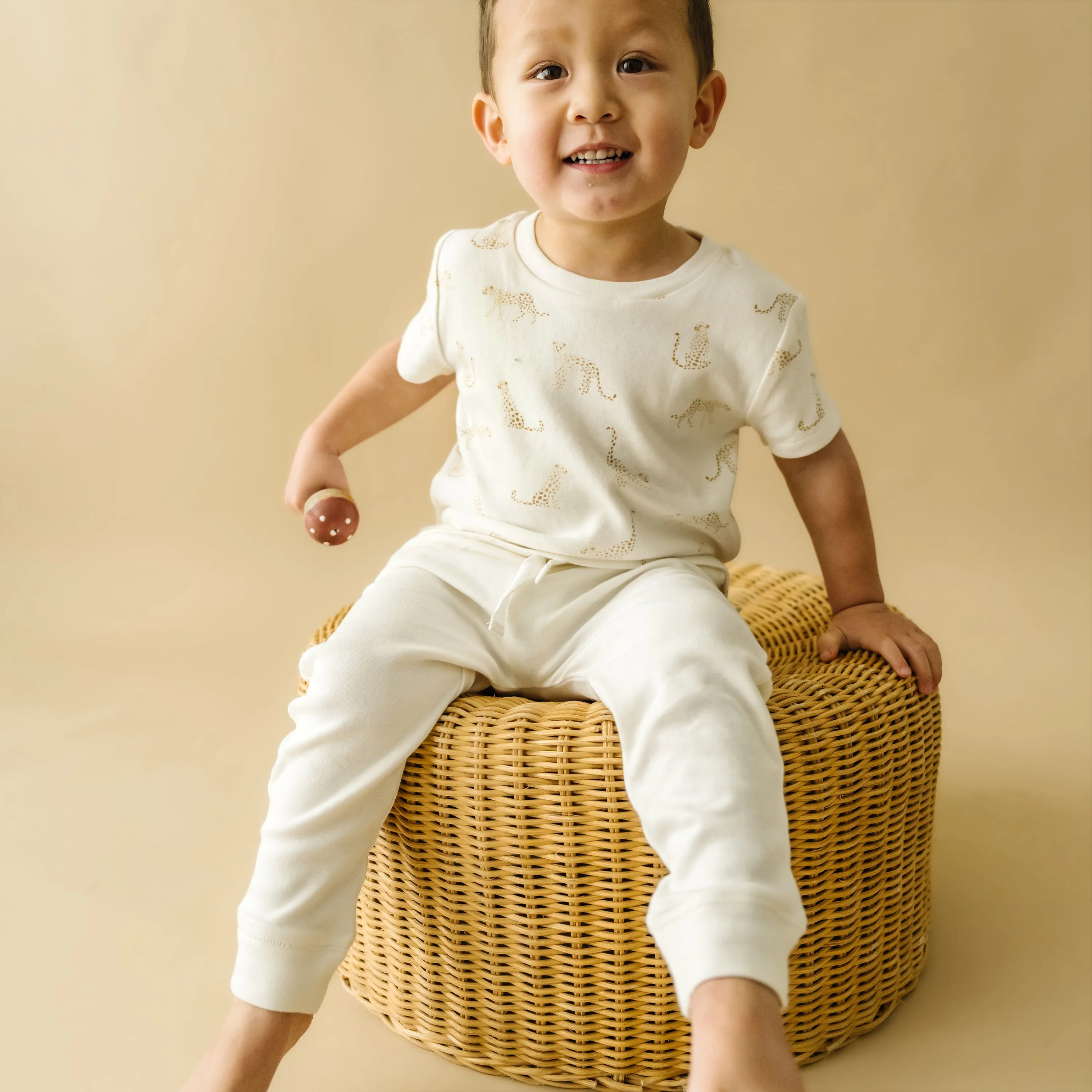 Organic Baby Toddler Tee & Pants Set - Wildcat Print