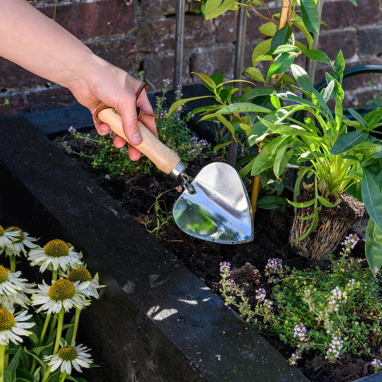 Planting Trowel - RHS Endorsed